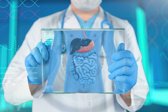 Doctor with stethoscope, blue gloves and face mask holding a transparent board with a colourful illustration of human abdominal organs