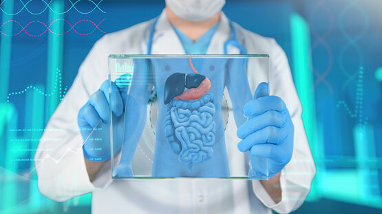 Doctor with stethoscope, blue gloves and face mask holding a transparent board with a colourful illustration of human abdominal organs